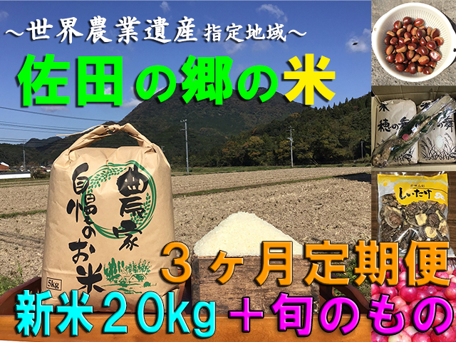 佐田の郷の米 定期便 （新米２０kgと旬のもの×年４回、特別栽培米）